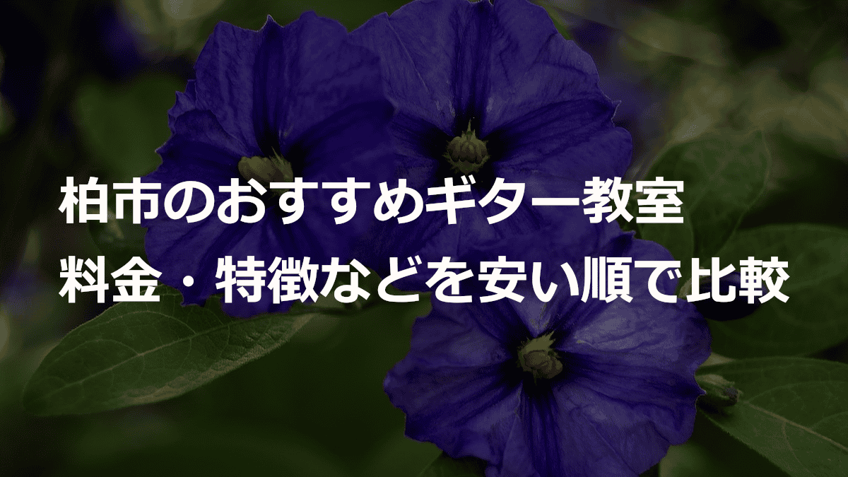 柏市のおすすめギター教室