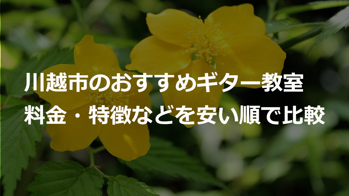 川越市のおすすめギター教室