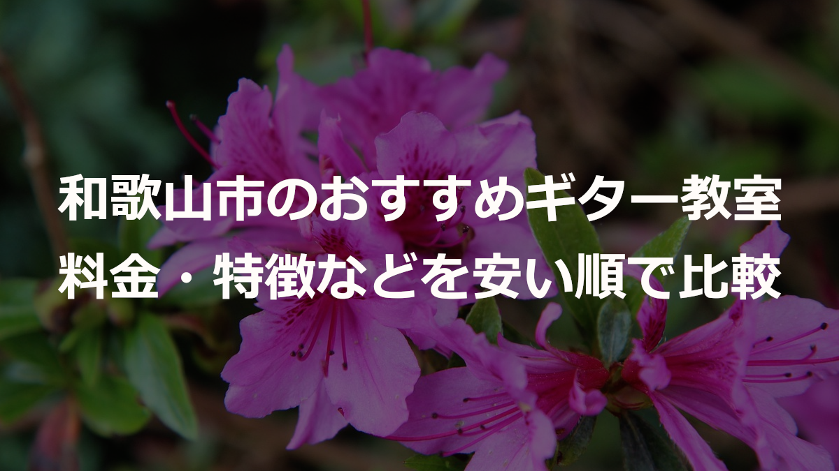 和歌山のおすすめギター教室