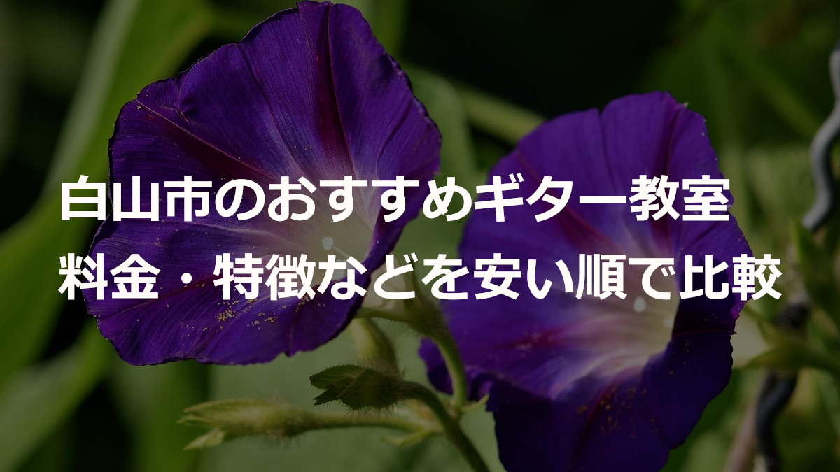 白山市のおすすめギター教室